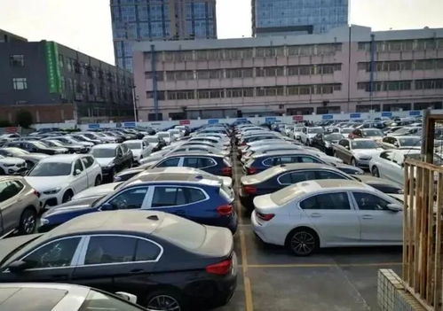 汽車廠賣不出的庫存車，最終流向何方？購車者須知